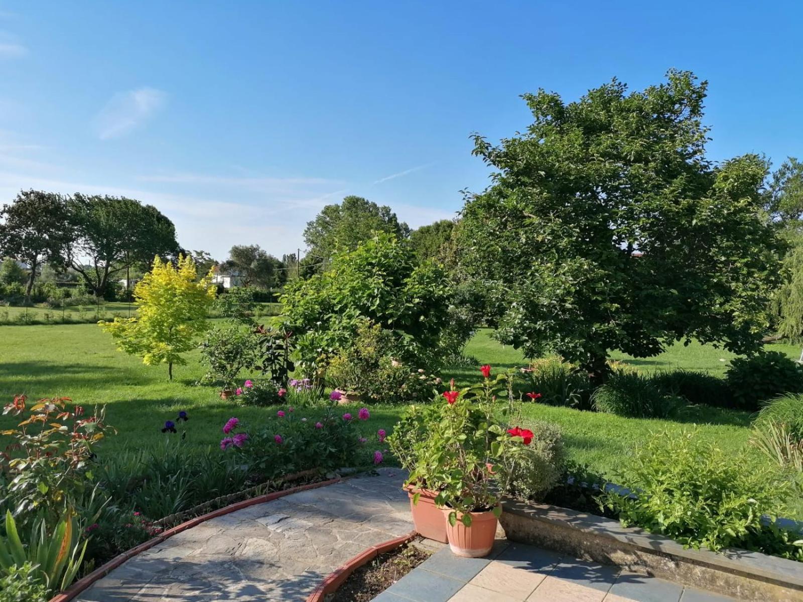 Versilia - Pietrasanta - Le Colmate Guesthouse 通法诺 外观 照片
