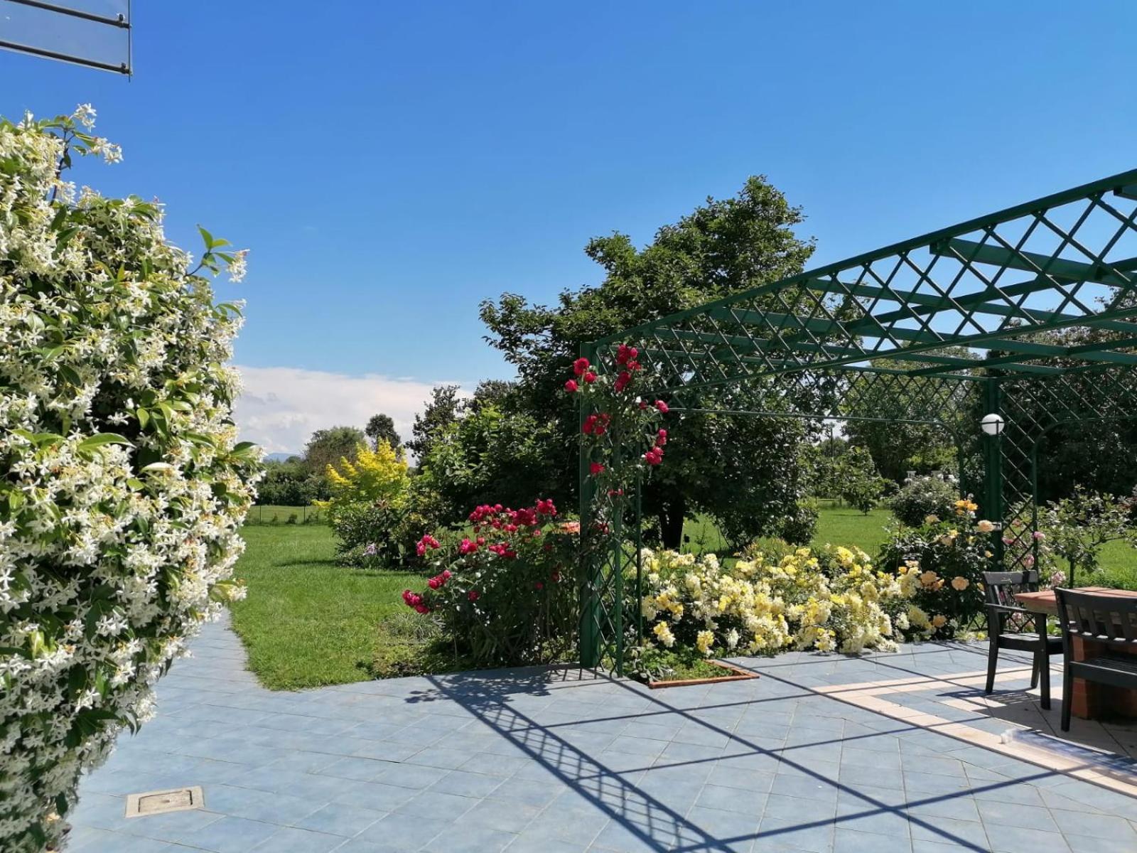 Versilia - Pietrasanta - Le Colmate Guesthouse 通法诺 外观 照片
