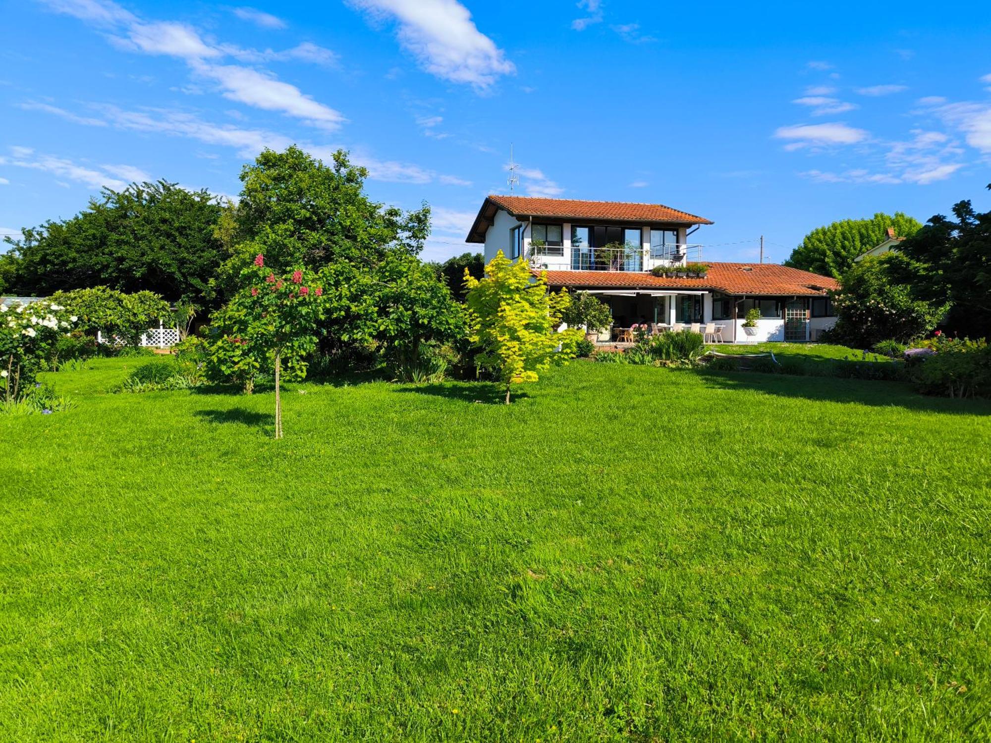 Versilia - Pietrasanta - Le Colmate Guesthouse 通法诺 外观 照片