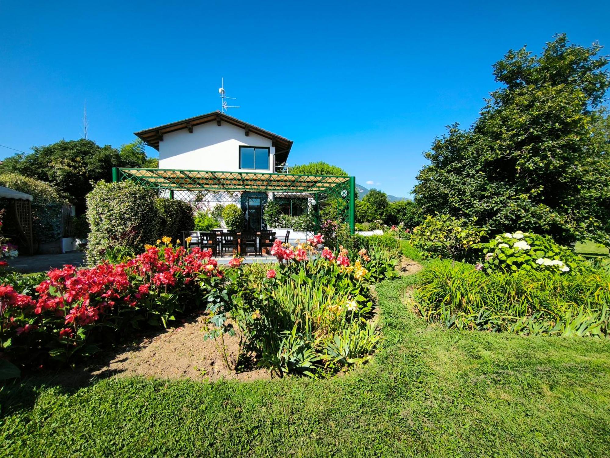 Versilia - Pietrasanta - Le Colmate Guesthouse 通法诺 外观 照片