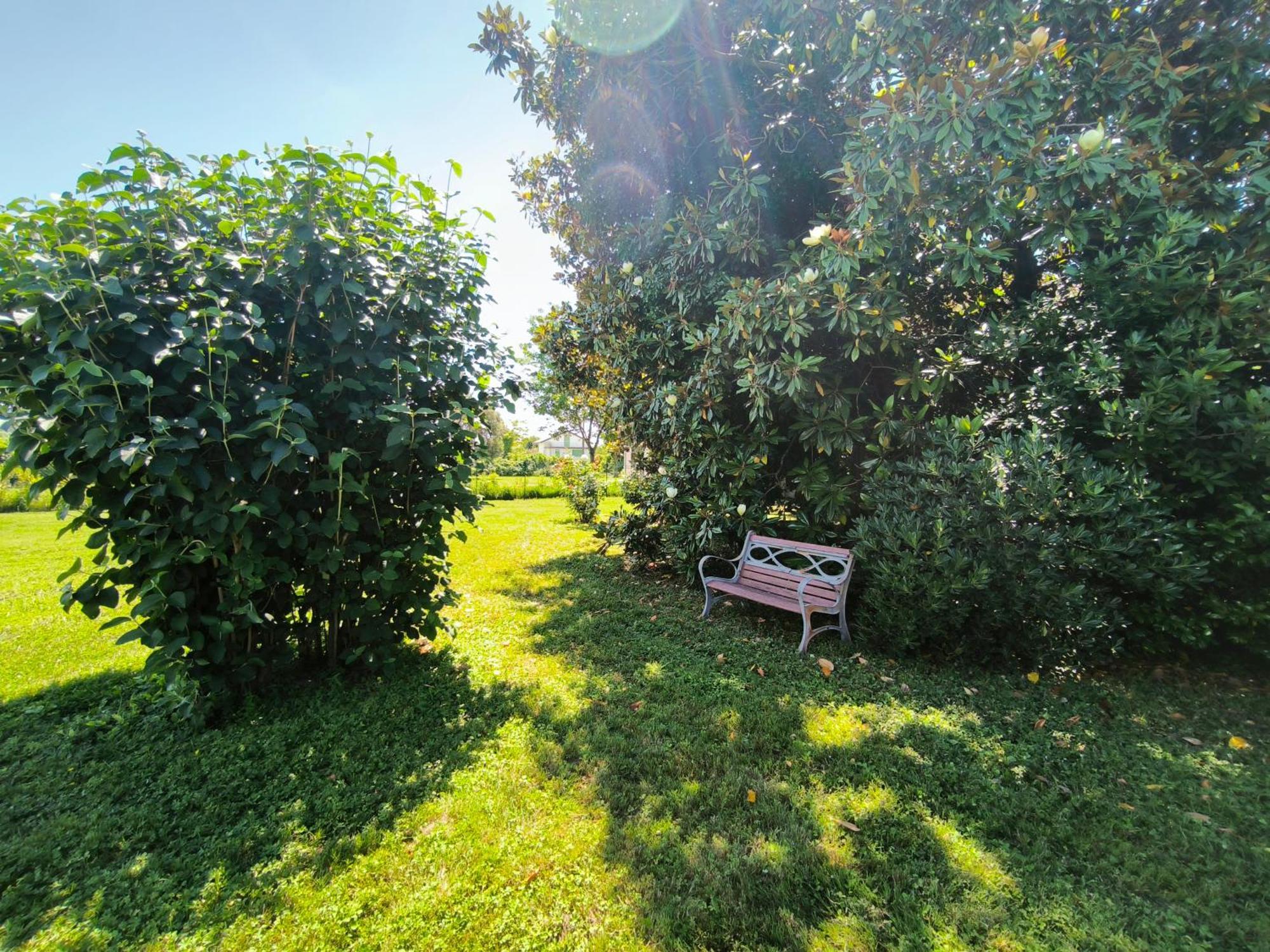 Versilia - Pietrasanta - Le Colmate Guesthouse 通法诺 外观 照片