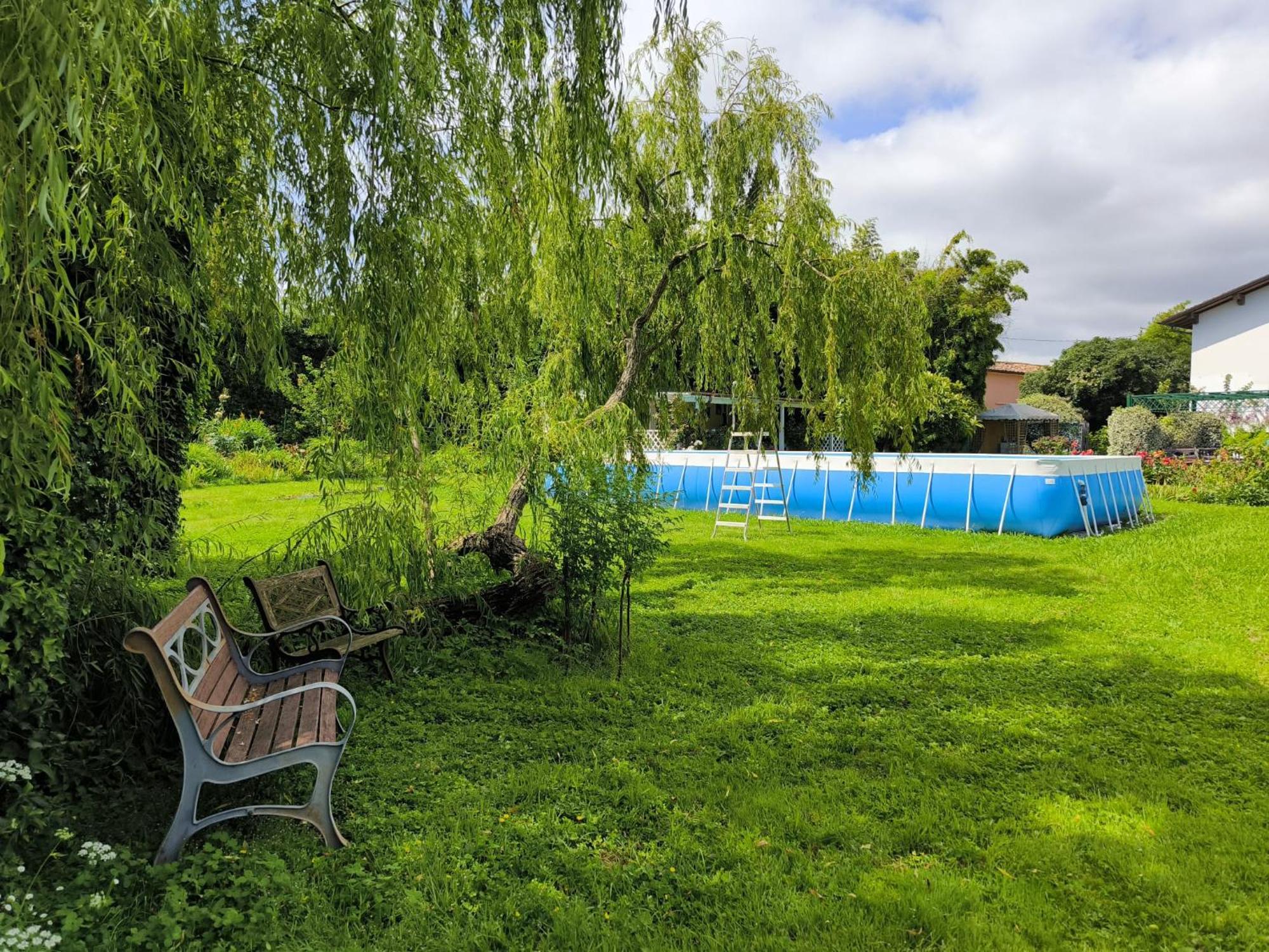 Versilia - Pietrasanta - Le Colmate Guesthouse 通法诺 外观 照片